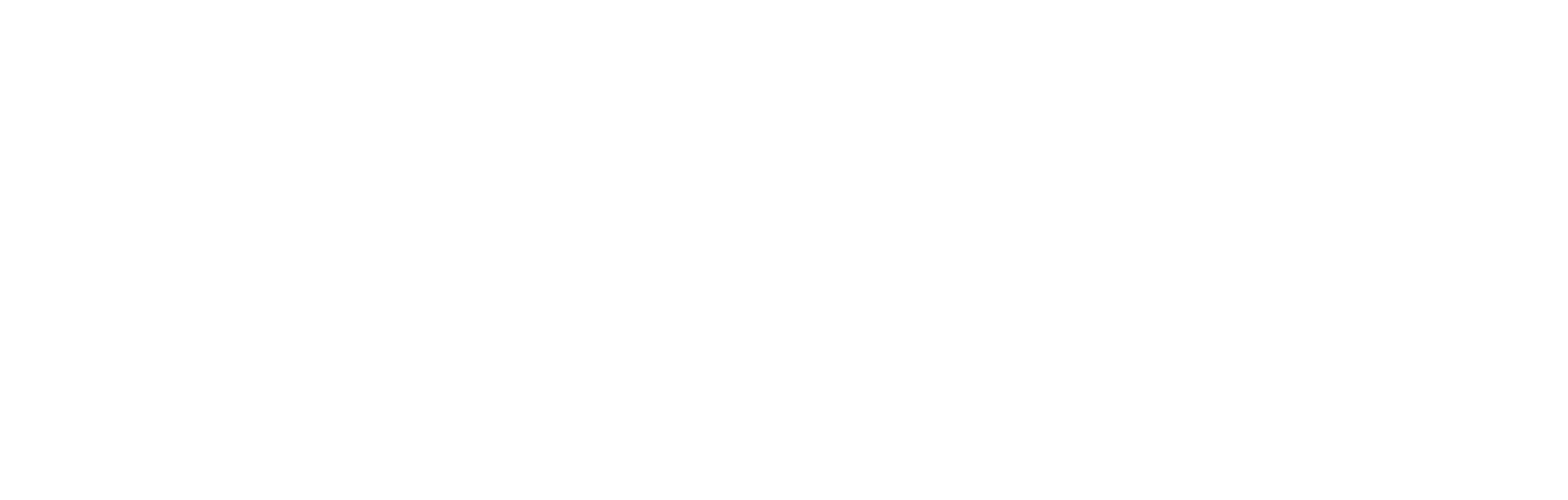 DIMACOM.NET Logo